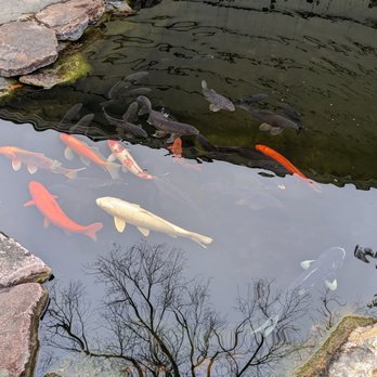Aquatic Edge LC - Aquarium Services Near Me Aquatic Edge LC - Aquarium Services Near Me