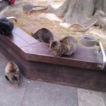 東池袋中央公園 12 Photos 東池袋3 1 6 豊島区 東京都 Japan Yelp