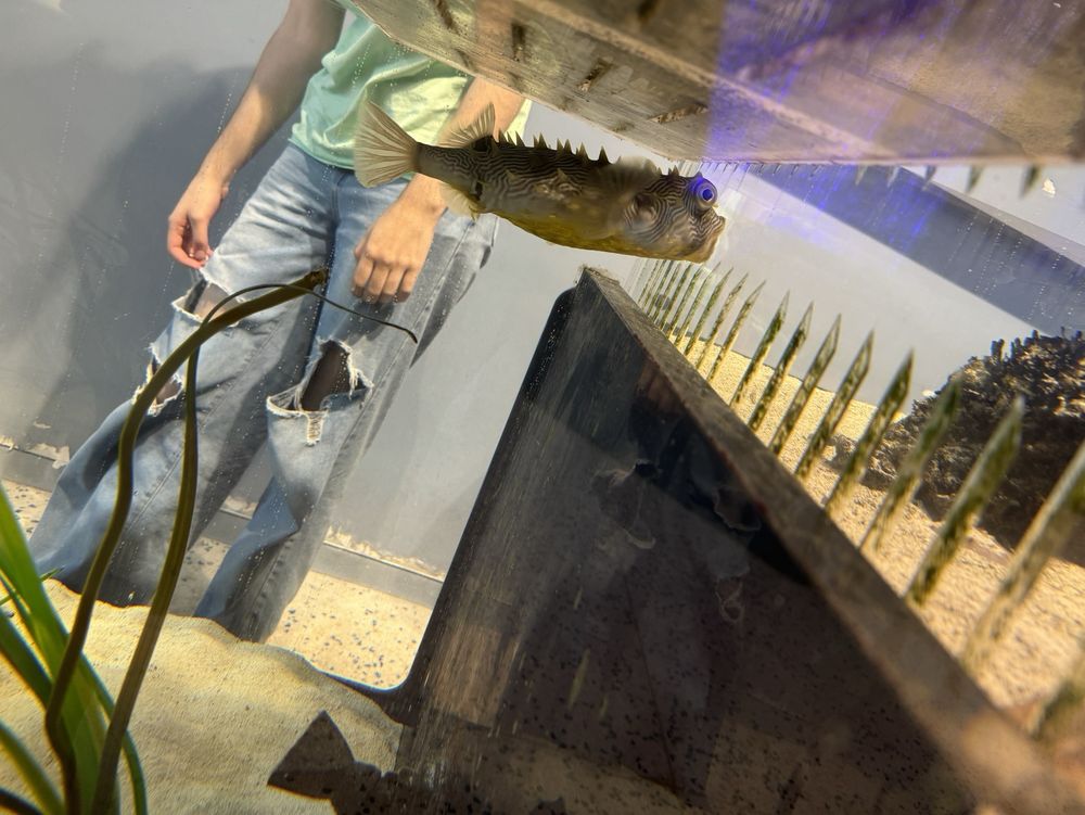 Tampa Bay Watch Discovery Center - social services organization in St. Petersburg, FL