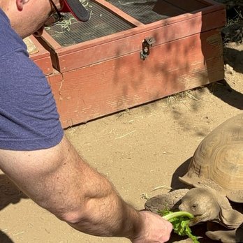 Wildlife Learning Center - Zoos Near Me - Sylmar, California