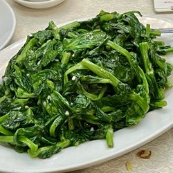 Empire Garden Chinese Restaurant