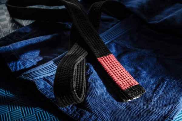 Leviathan Brazilian Jiu Jitsu gym photo