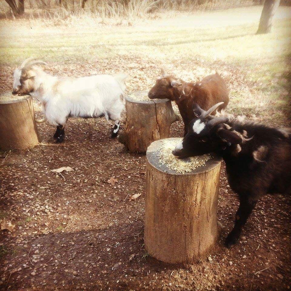 THE HEALING POINT Updated October 2024 18 Photos 5601 Duncan Rd, Fort Smith, Arkansas