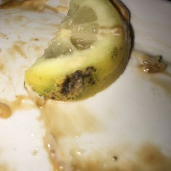 Bento Box - LEMONS WITH MOLD!! This is only ONE I was able to get out of my glass. - Japanese Near Me - Sacramento, California Bento Box - LEMONS WITH MOLD!! This is only ONE I was able to get out of my glass. - Japanese Near Me - Sacramento, California