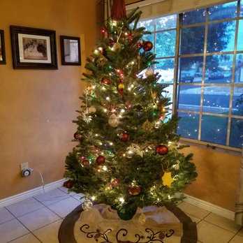 Moon Valley Nurseries - Our new tree! - Nurseries & Gardening Near Me - Mesa, Arizona Moon Valley Nurseries - Our new tree! - Nurseries & Gardening Near Me - Mesa, Arizona