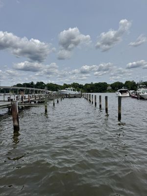 Mike's Restaurant & Crabhouse by null