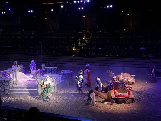 Dolly Parton's Stampede by null