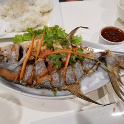 Jatujak - Fried snapper