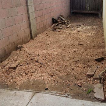 Golden State Tree Service - AFTER - Tree Services Near Me - Glendora, California