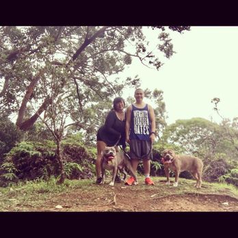 Aiea Loop Trail - Hiking Near Me - Aiea, Hawaii