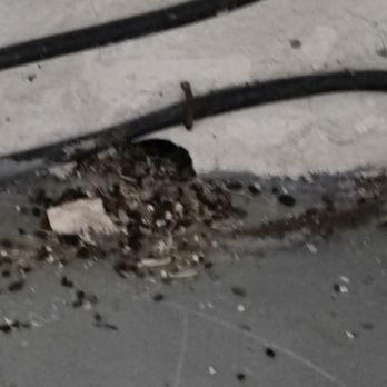 Terminix - Holes found in garage not sealed, and additional mouse droppings - Pest Control Near Me - Westminster, Colorado Terminix - Holes found in garage not sealed, and additional mouse droppings - Pest Control Near Me - Westminster, Colorado