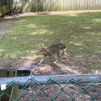 Popcorn Park Zoo - Zoos Near Me - Forked River, New Jersey