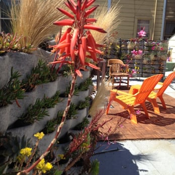 Joyous Spaces - Maturing vertical wall by Joyous Spaces. - Gardeners Near Me Joyous Spaces - Maturing vertical wall by Joyous Spaces. - Gardeners Near Me