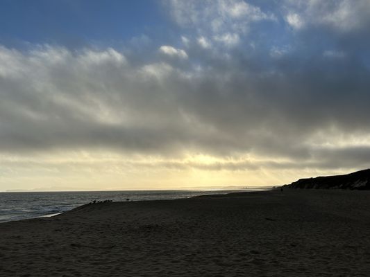 Limantour Beach by null