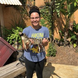 Congo River Golf