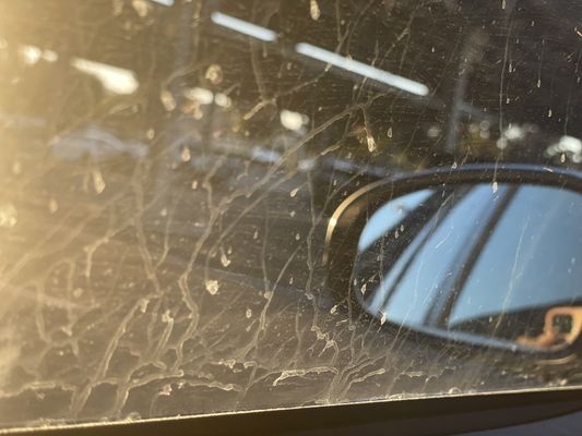 SUPER STAR CAR WASH - Updated March 2025 - 13 Photos & 14 Reviews