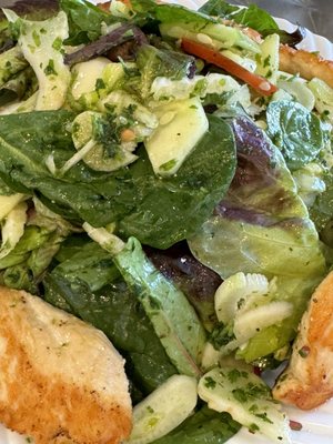 Susy's Kitchen by null