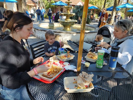 Jacksonville Zoo and Botanical Gardens by null