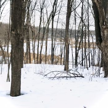 Baker Park Reserve Campground & Beach - Woods, trail & wetland in winter - Hiking Near Me - Medina, Minnesota