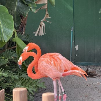 SeaWorld Orlando - Amusement Parks Near Me - Orlando, Florida