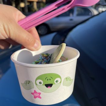 Baskin-Robbins - No sign of life for this turtle sundae. - Ice Cream & Frozen Yogurt Near Me - Fairfield, California