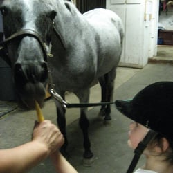 Clarion Farm