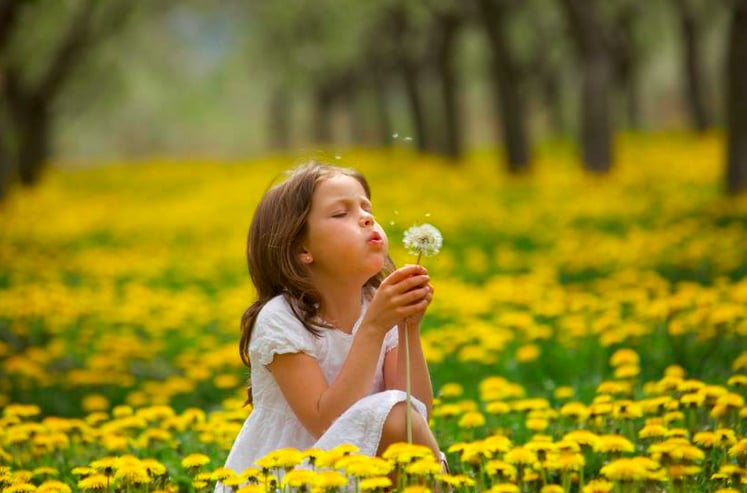 Wheels for Wishes - social services organization in St. Louis Park, MN