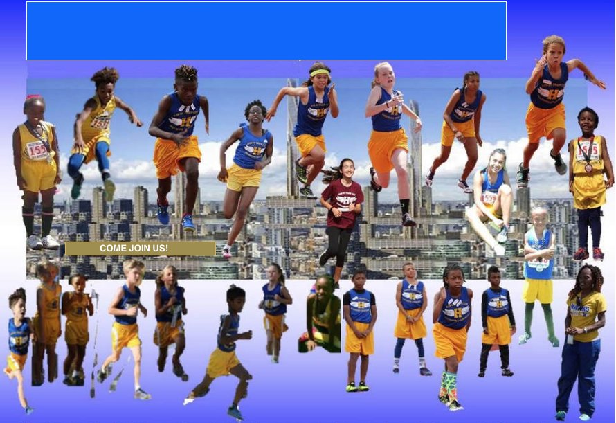 Hawks Track Club Logo