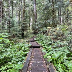 Heart O' The Hills Campground - Heart o the Hills - campground trail