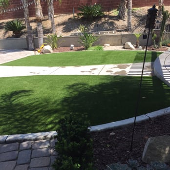 Biltright Turf - Nutmeg Lush turf. Looks great!!! - Landscaping Near Me Biltright Turf - Nutmeg Lush turf. Looks great!!! - Landscaping Near Me