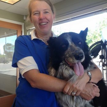 Westside Animal Hospital - Our beloved Hallie & Dr. Sullivan - Veterinarians Near Me - Newman, California Westside Animal Hospital - Our beloved Hallie & Dr. Sullivan - Veterinarians Near Me - Newman, California