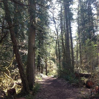 Deschutes Falls Park - Parks Near Me - Yelm, Washington Deschutes Falls Park - Parks Near Me - Yelm, Washington