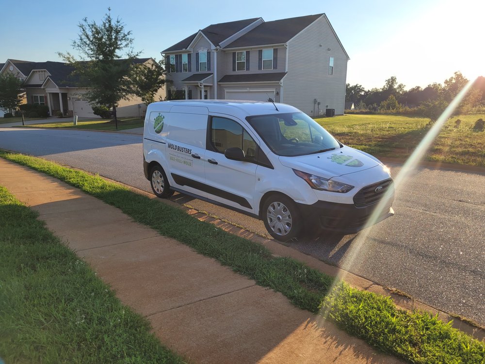 Mold Busters Greenville - mold inspector in Greenville, SC