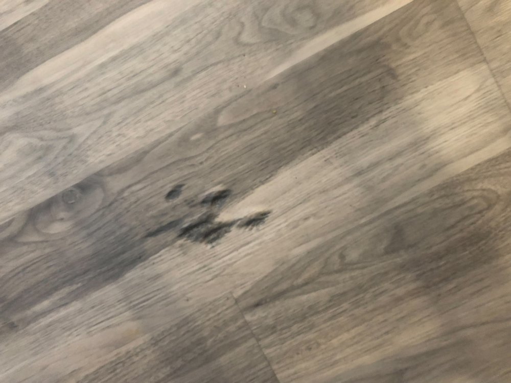 ROOMS TO GO KIDS FURNITURE STORE PLANO Updated September 2024 90