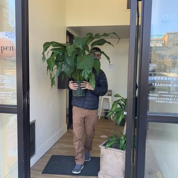 The ZEN Succulent - My boyfriend carrying our new plant baby out to the car! - Home Decor Near Me - Durham, North Carolina The ZEN Succulent - My boyfriend carrying our new plant baby out to the car! - Home Decor Near Me - Durham, North Carolina