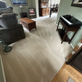 Daisy Carpet and Upholstery Cleaning - Carpet Cleaning Near Me - Apple Valley, Minnesota Daisy Carpet and Upholstery Cleaning - Carpet Cleaning Near Me - Apple Valley, Minnesota