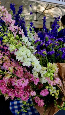 Grant Park Farmers Market by null