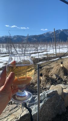 Rootwood Cider Taproom - at the Orchard by null