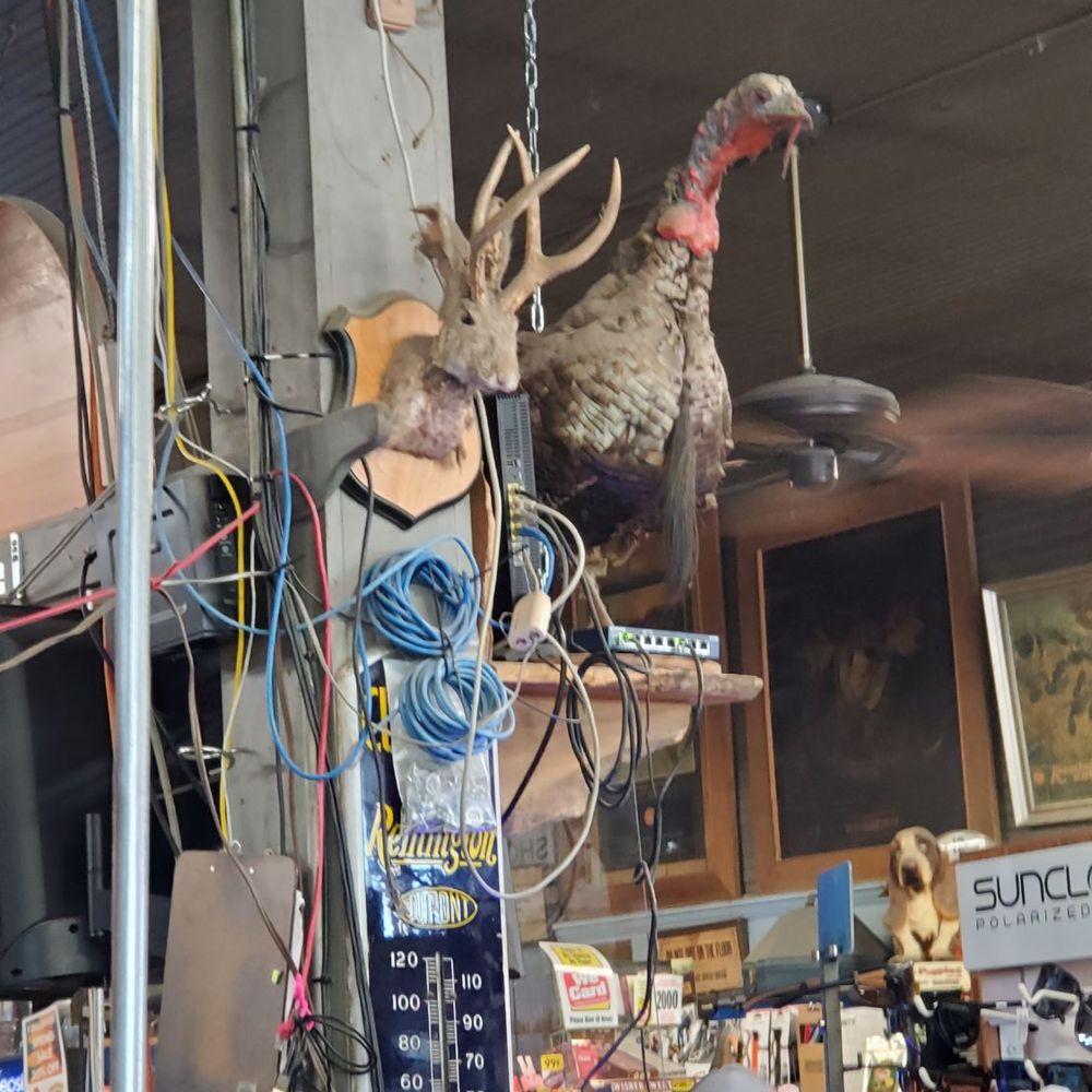 Crane's Country Store - a turkey hanging from the ceiling - Gas Stations Near Me - Williamsburg, Missouri
