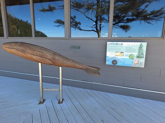 Cape Perpetua Visitor Center - Siuslaw National Forest by null