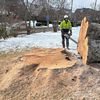 Keystone Tree Techs - Tree Services Near Me - Rochester, Pennsylvania