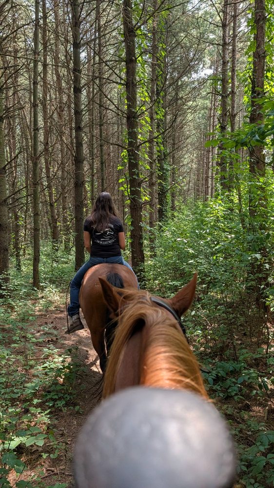 JJ Morris Riding Lessons And Trail Rides - equestrian in Bristol, IN