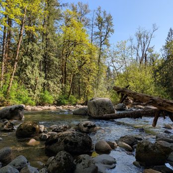 Wallace Falls State Park - River where I let my dog wade a bit to cool off. I kept him on leash as there were lots of reports of dogs being swept away. - Parks Near Me - Gold Bar, Washington Wallace Falls State Park - River where I let my dog wade a bit to cool off. I kept him on leash as there were lots of reports of dogs being swept away. - Parks Near Me - Gold Bar, Washington