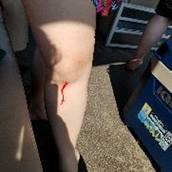Ruth Lake Marina - Bleeding