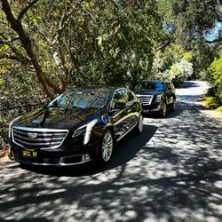 SF City Limo - 2019 Cadillac XTS & 2020 Cadillac Escalade