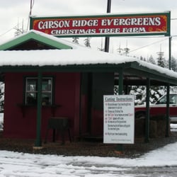 Carson Ridge Evergreens