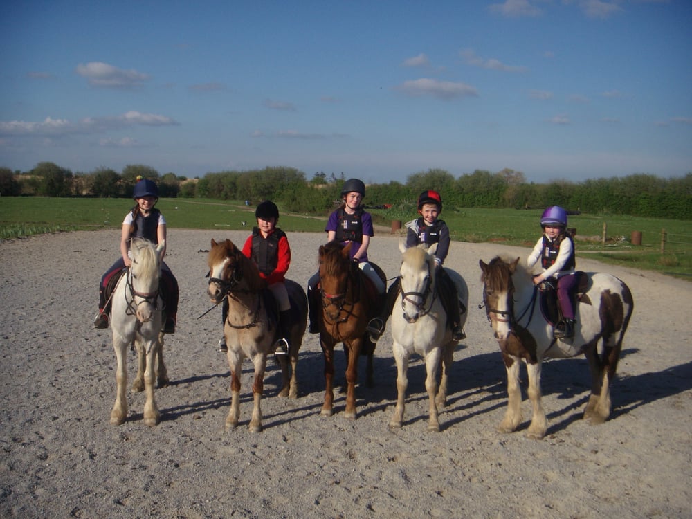 MARY LEONARD’S RIDING SCHOOL Newcastle West, Newcastle West, Co