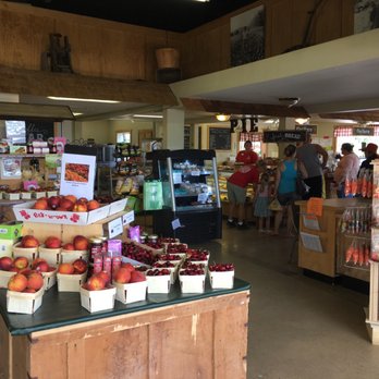Blake's Backyard - Fresh picked produce, cider and donuts - Fruits & Veggies Near Me - Almont, Michigan Blake's Backyard - Fresh picked produce, cider and donuts - Fruits & Veggies Near Me - Almont, Michigan