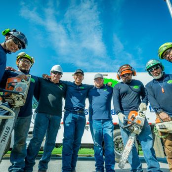 Zamora Tree Service - Tree Services Near Me - Lawrenceville, Georgia Zamora Tree Service - Tree Services Near Me - Lawrenceville, Georgia