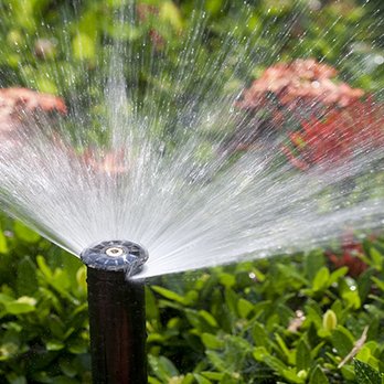 Lopez Yardwork - a sprinkler spraying water on a lawn - Landscaping Near Me Lopez Yardwork - a sprinkler spraying water on a lawn - Landscaping Near Me